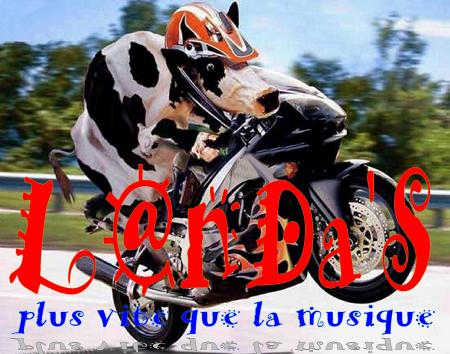 les landaS